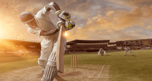 Know about Cricket betting in detail