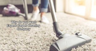 Why do you want Expert Carpet Cleaning Company