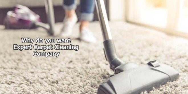 Why do you want Expert Carpet Cleaning Company