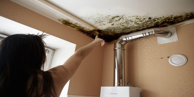 What is Roof Leaking?