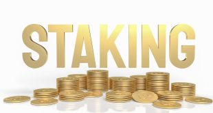 Traders Union Experts Announced Best Staking Coins