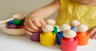 10 Must-Have Montessori Toys for Early Childhood Development