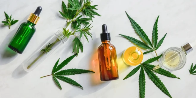Understanding the Full Spectrum CBD and How to Choose Wisely