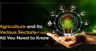 Agriculture and Its Various Sectors- All You Need to Know