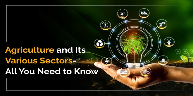 Agriculture and Its Various Sectors- All You Need to Know