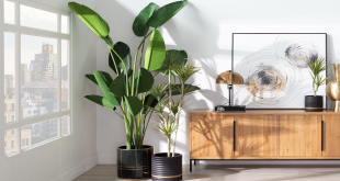 Natural and Aesthetic: How to Arrange Artificial Plants for a Lifelike Look