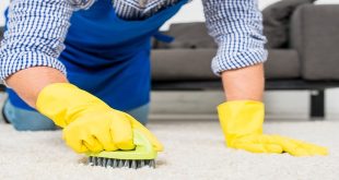 Carpet Cleaning: Why You Need Professional Help for Pristine Carpets