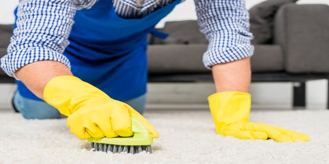 Carpet Cleaning: Why You Need Professional Help for Pristine Carpets
