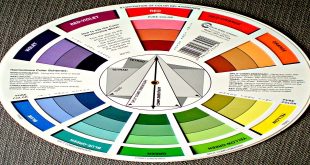 Color Theory for Homes: How Does Color Affect Your Space's Overall Feel?