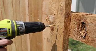 DIY vs. Professional Fence Installation: Pros and Cons