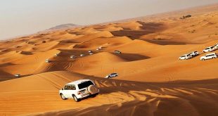 How Much Does a Desert Safari Cost in Dubai? (2023 Updated)