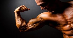 Maximizing Muscle Mass: Unpacking the Benefits of Anadrol