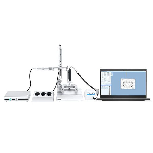 What Are The Key Components Of A Mouse Stereotaxic Frame?